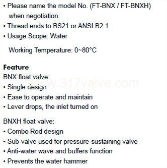 ftbnx-3_20241112.jpg