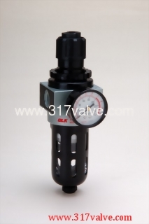 FILTER REGULATOR (CFR-100)
