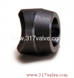 HIGH PRESSURE PIPE FITTING OUTLET (FG-OLET-SW)