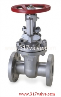 STAINLESS STEEL GATE VALVE ANSI 300 (SS304-34Y/SS316-36Y)