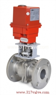 R5.r7 - 317 Valve