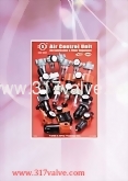 Air-Control-Unit_Bronze-Brass-Valve
