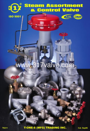 Control/Float/Needle/Sight Glass/Strainer