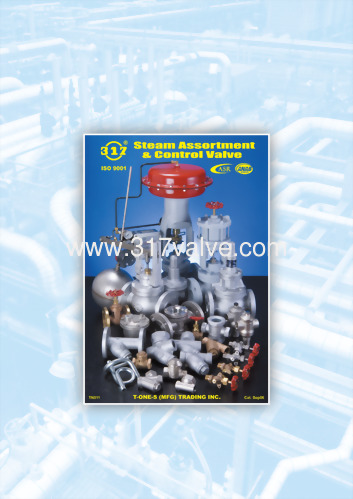 Steam Assortment & Control Valve / Sight Glass Steam Assortment & Control Valve / Sight Glass
