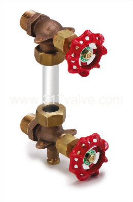 (BG-WGV/SS316-WGV) WATER GAUGE VALVE (BG-WGV/SS316-WGV) WATER GAUGE VALVE
