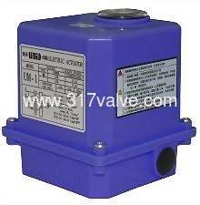 24 Hours Operating Electric Actuator