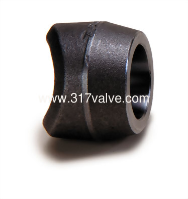 (FG-OLET-SW) HIGH PRESSURE PIPE FITTING OUTLET (FG-OLET-SW) HIGH PRESSURE PIPE FITTING OUTLET