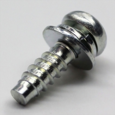 Washer Assembly Screw