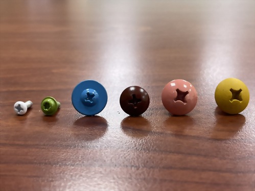 Head Painting Screw