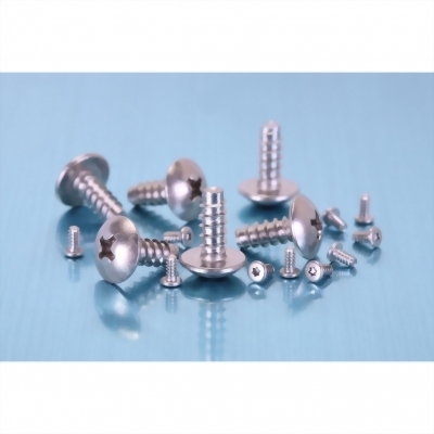 Stainless Screw