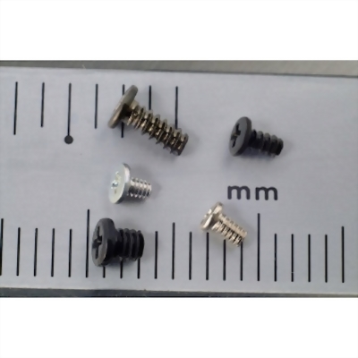 Micro (Miniature) Screw