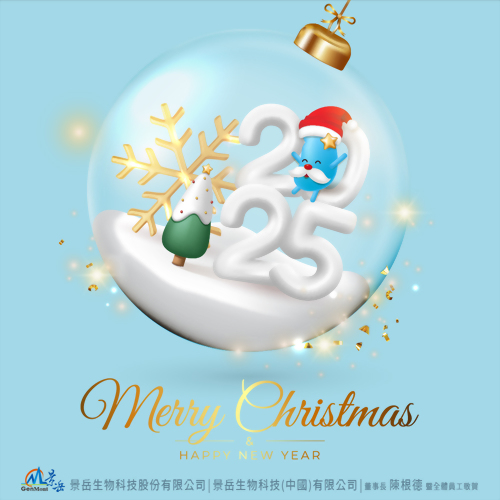 Merry Christmas & Happy New Year!