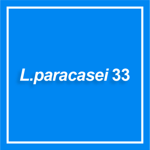 L. paracasei 33