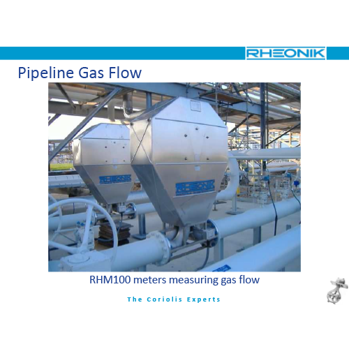 Rheonik mass flow meter and Coriolis meter
