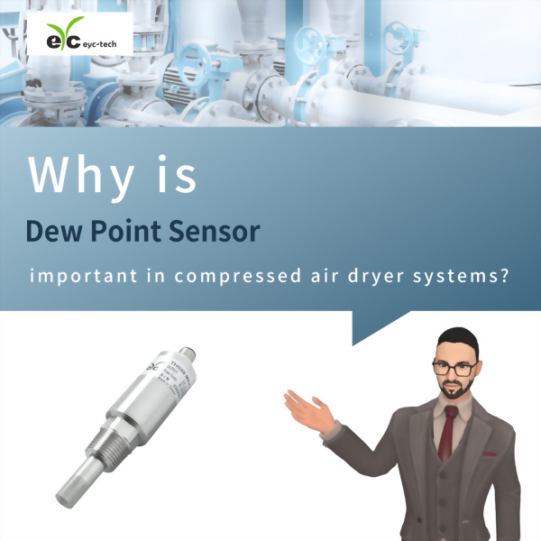 eyctech THS88MAX Dew Point Sensor Introduction