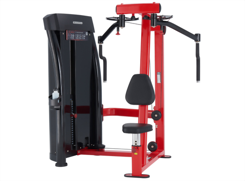 Fly / Rear Deltoid