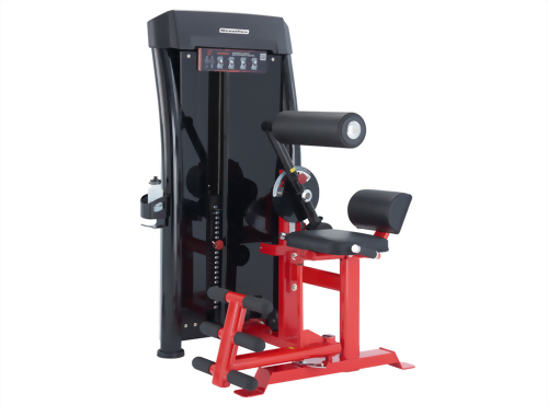Abdominus Curl/Back Extension