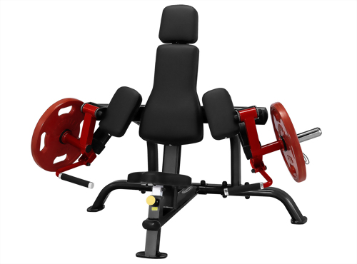 Biceps Curl