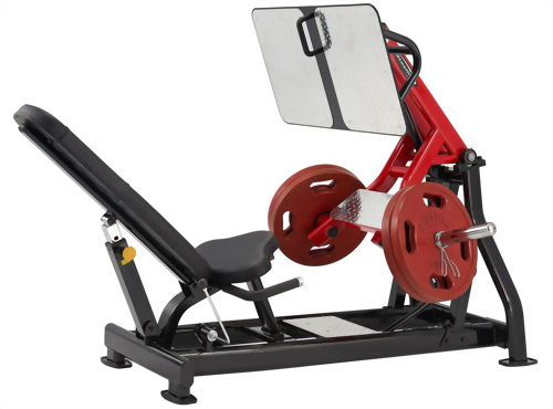 Hydraulic best sale leg press