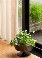 MY GARDEN 2018 Aquaponics Stand Series DM