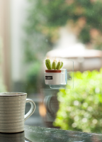 MY GARDEN 2018 PIP Stick SeriesDM