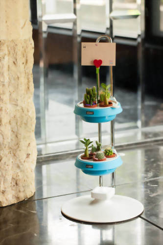 Adjustable Multi-Succulent Mini Pot Holder- Tall