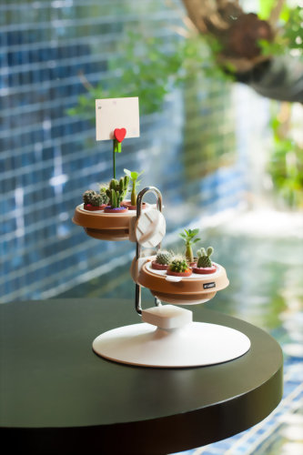 Adjustable Multi-Succulent Mini Pot Holder- Short