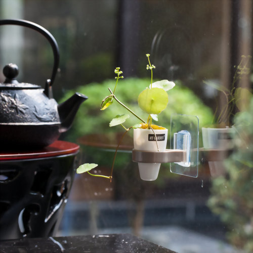 Reusable Adhesive Mount Mini Pot Holder- Water Root Plant Cup