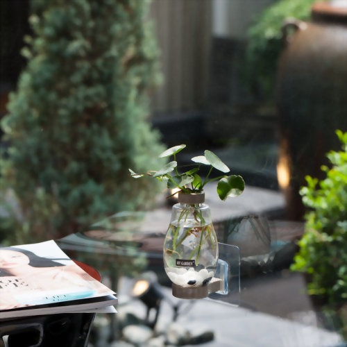 Reusable Adhesive Mount Mini Pot Holder- Transparent Vase