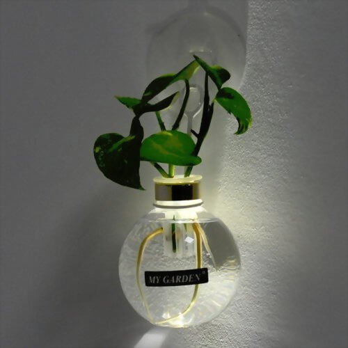 Reusable Adhesive Mount Mini Pot Holder- Round Bottle With Hook