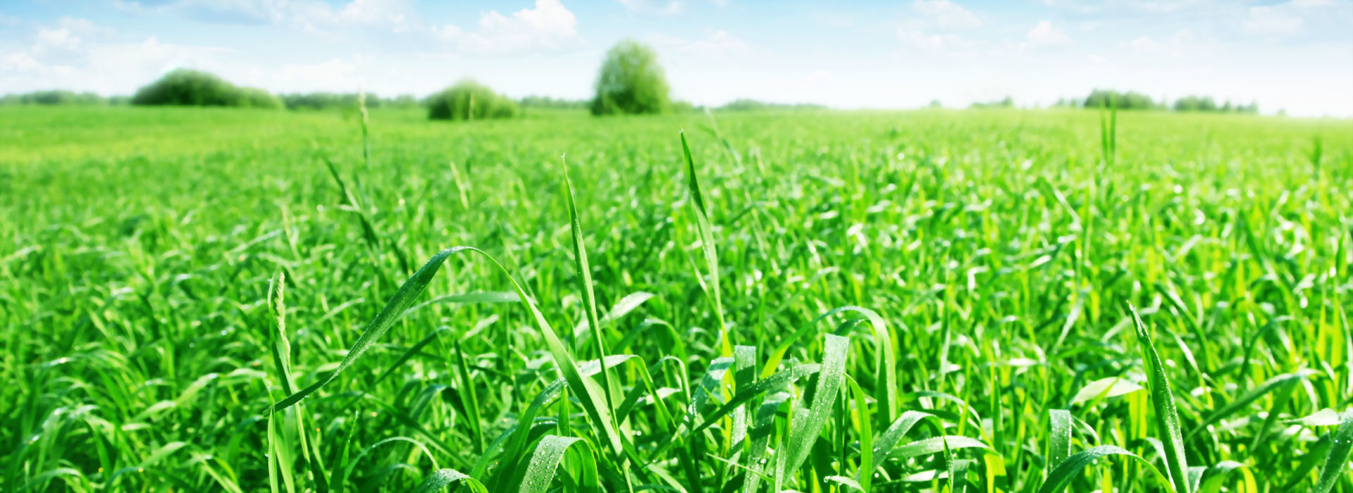 關於金堯機電有限公司/金傑機械科技有限公司