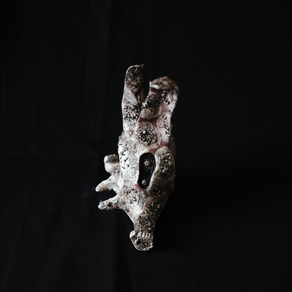 Bucktooth monster rabbits