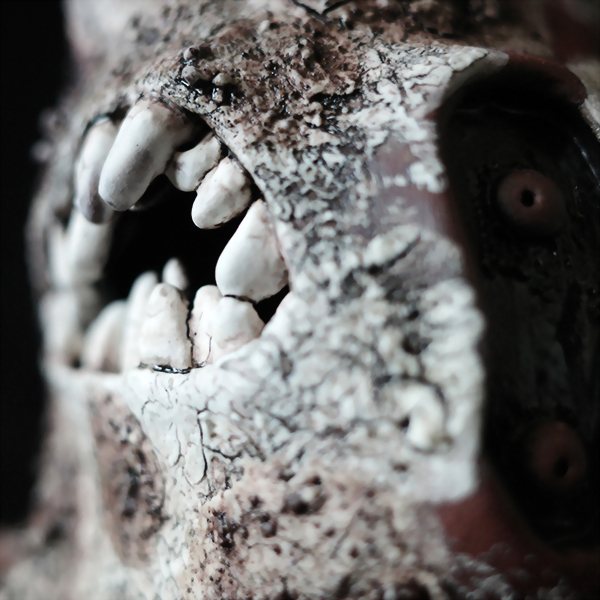 Bucktooth monster rabbits