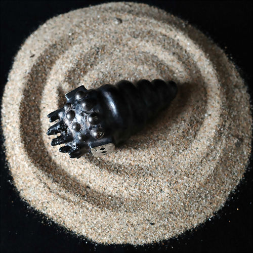 Black star caterpillar