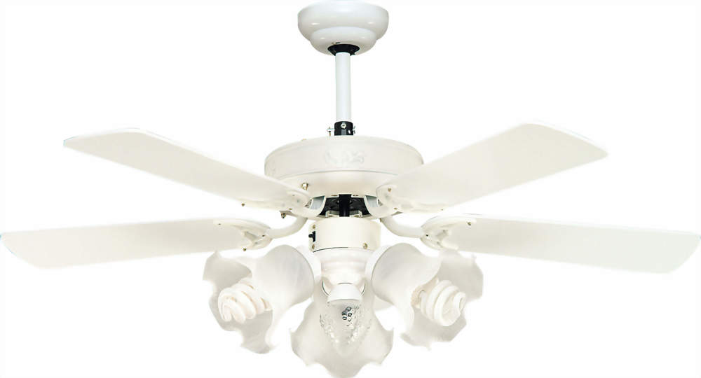 21261 / 21261A / 21262