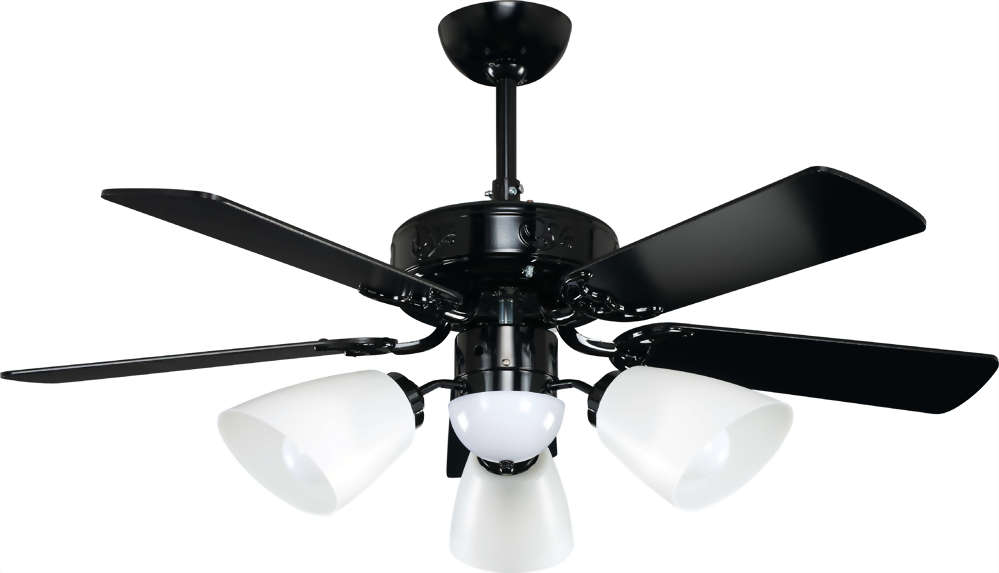 吊扇 - 華盛頓 系列