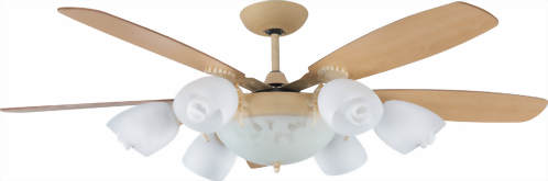 燈扇- 亞歷山大系列