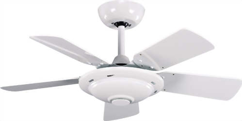 吊扇 - 衛浴吊扇 系列