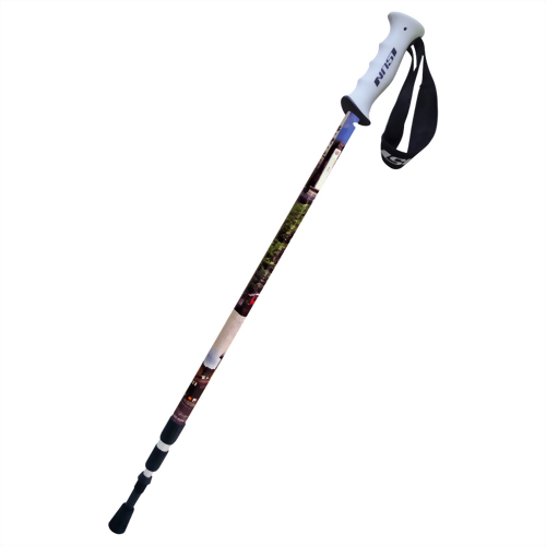 Shengxing Station in Miaoli 3 stage Suspension trekking pole Upright handle