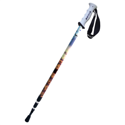 Gaomei Wetlands in Taichung 3 stage Suspension trekking pole Upright handle