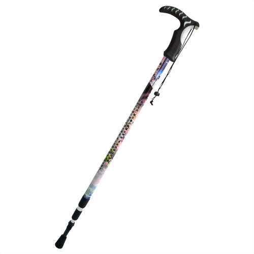 YangMingshan National Park in Taipei  3 stage Anti-shock Walking pole T handle