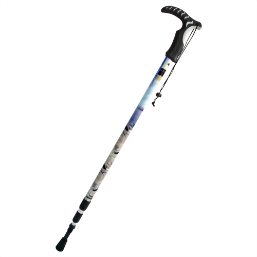 Xiaoyeliu in Taitung 3 stage Anti-shock walking pole T handle