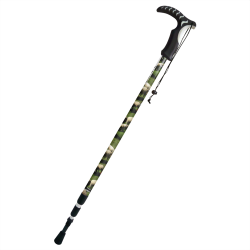 Evergreen Grassland 3 stage Anti-shock Trekking pole T handle