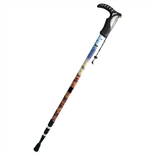 高美濕地 三段式避震行走杖 T型握把