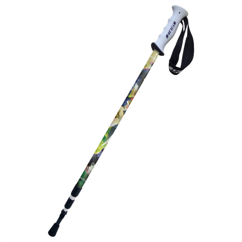 Swinhoe's Pheasant 3-stage Anti-shock Trekking pole Upright handle