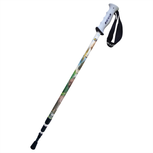 Crested Serpent Eagle 3-section Anti-shock trekking pole Upright handle