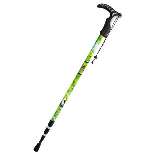 Wagtail 3 stage Anti-shock walking pole T handle