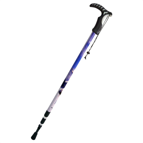 Crane 3 stage Anti-shock walking pole T handle