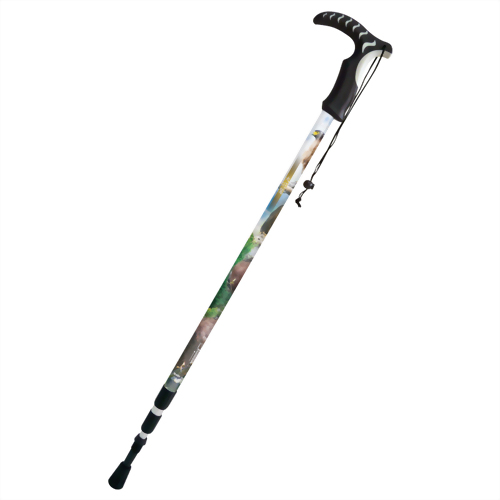 大冠鷲 三段式避震行走杖 T型握把