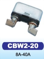 Circuit Breaker With Modified Reset